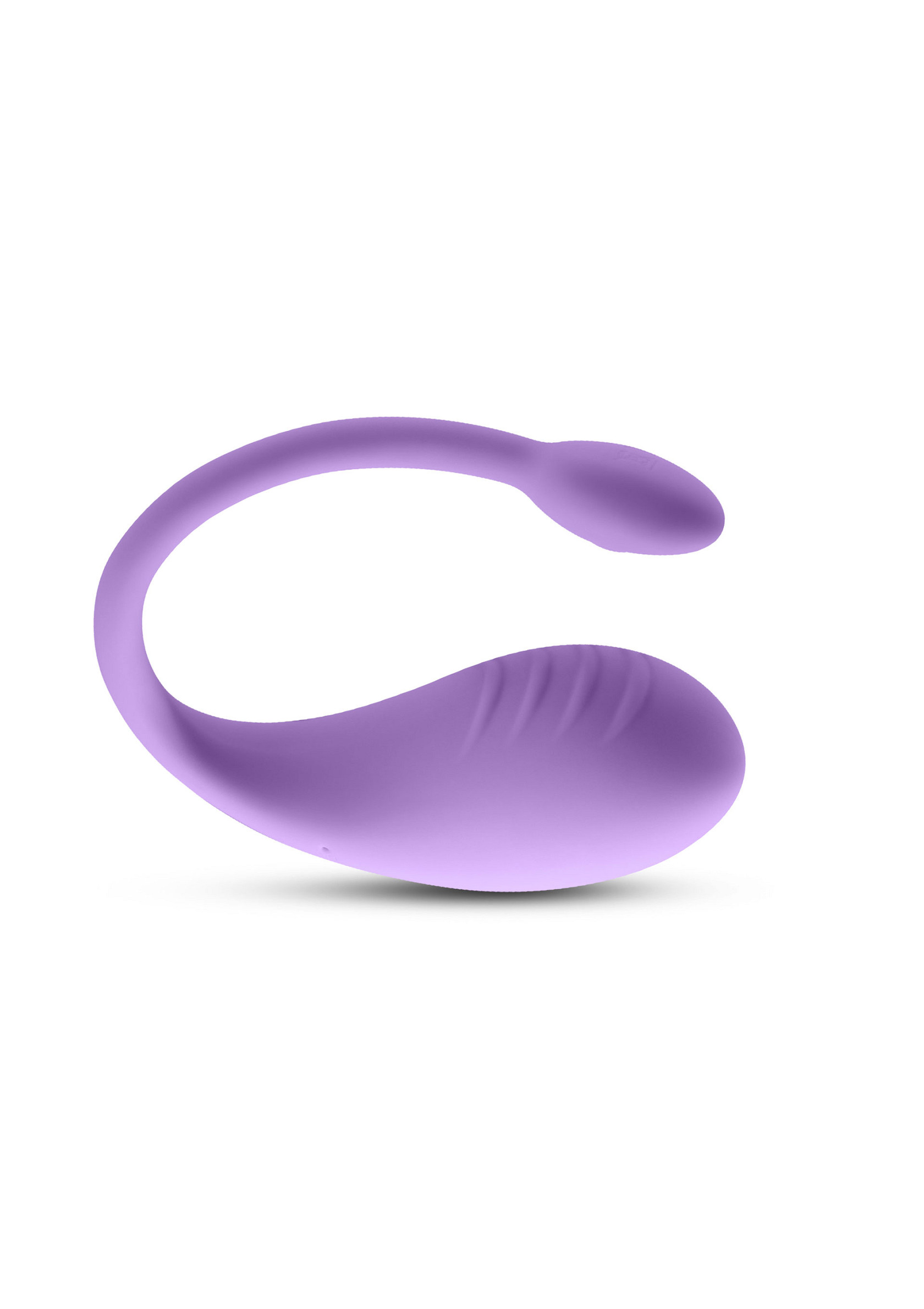 19090_PURPLE_01.jpg