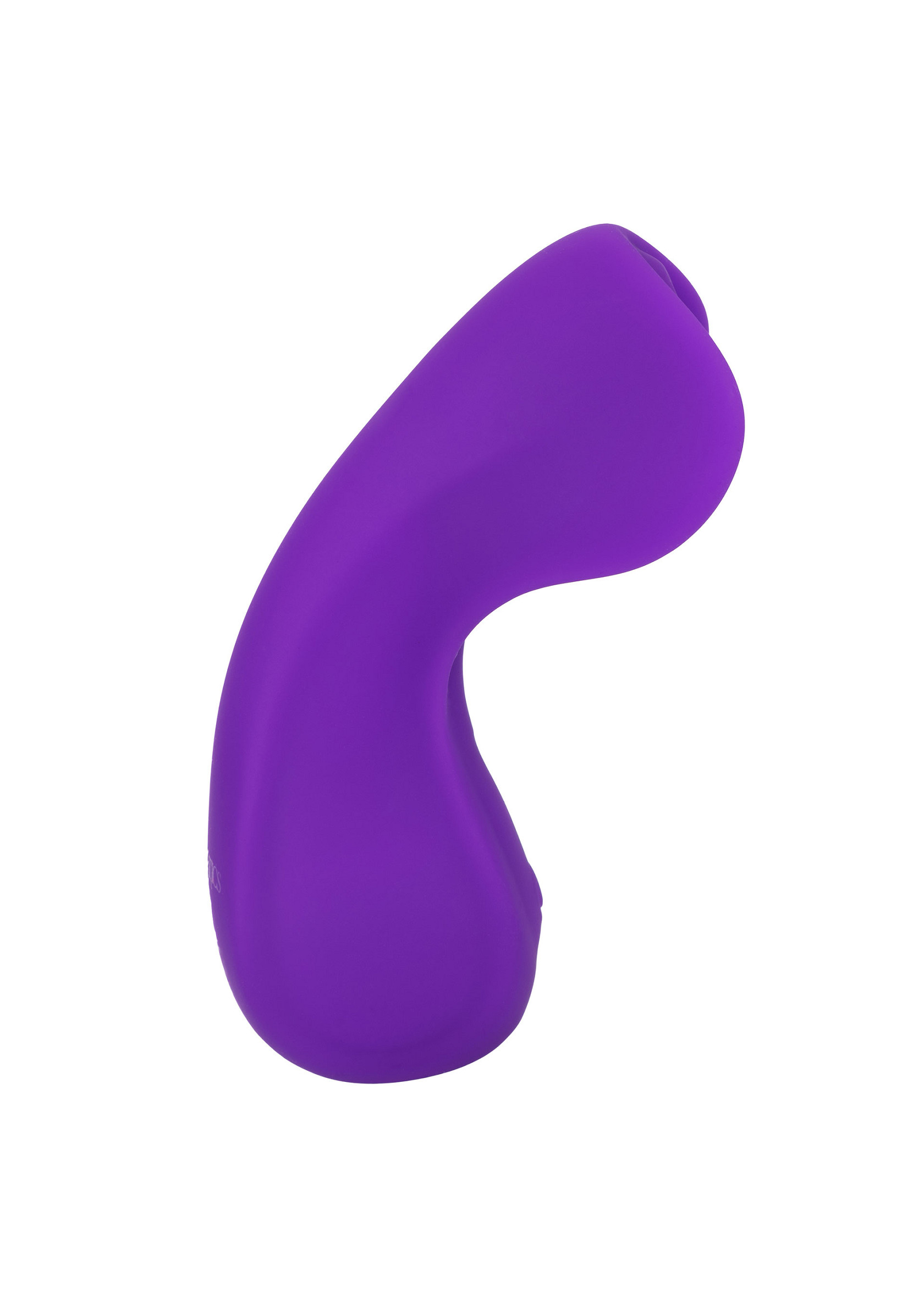 27642_PURPLE_03.jpg