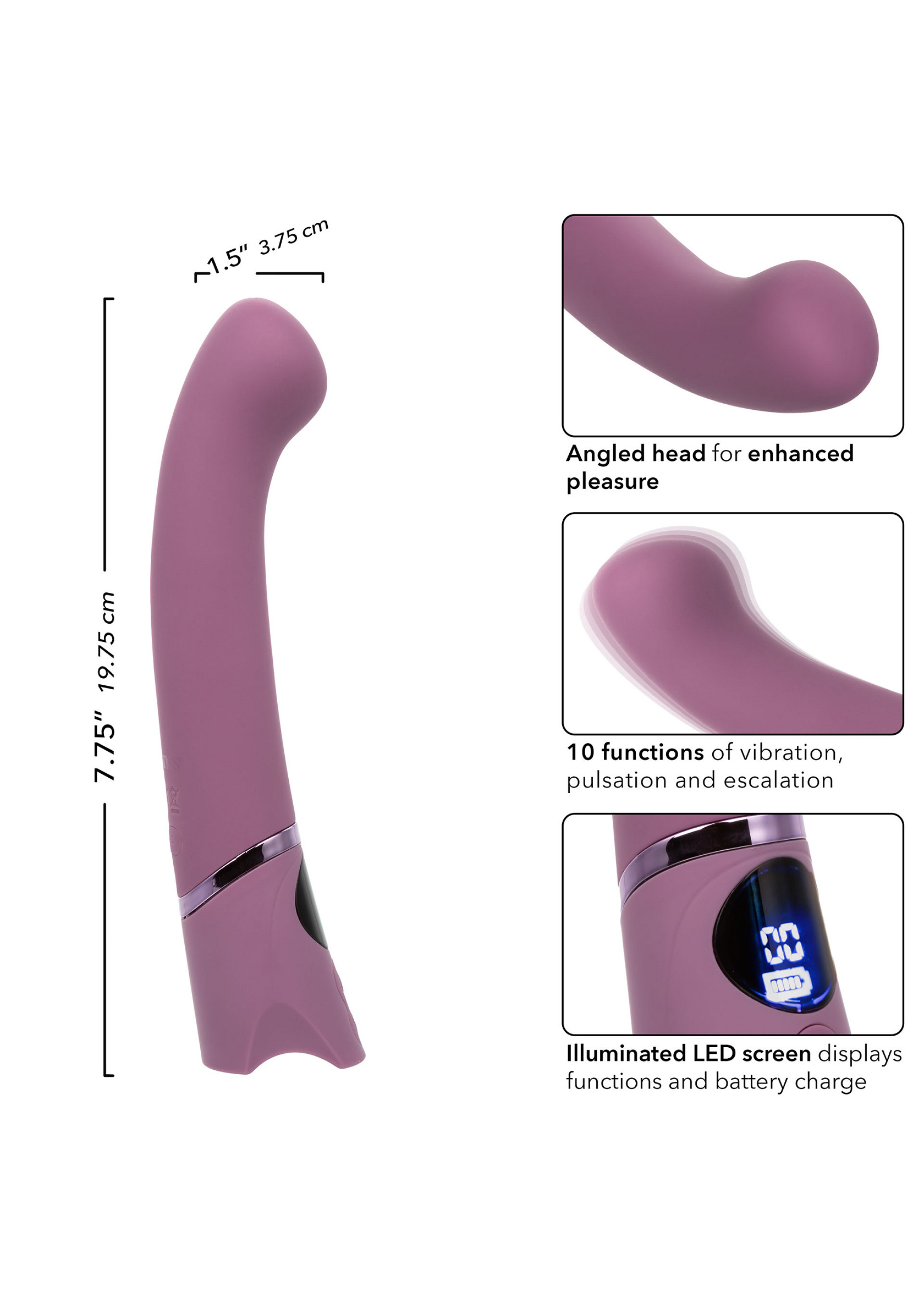 27646_PURPLE_06.jpg