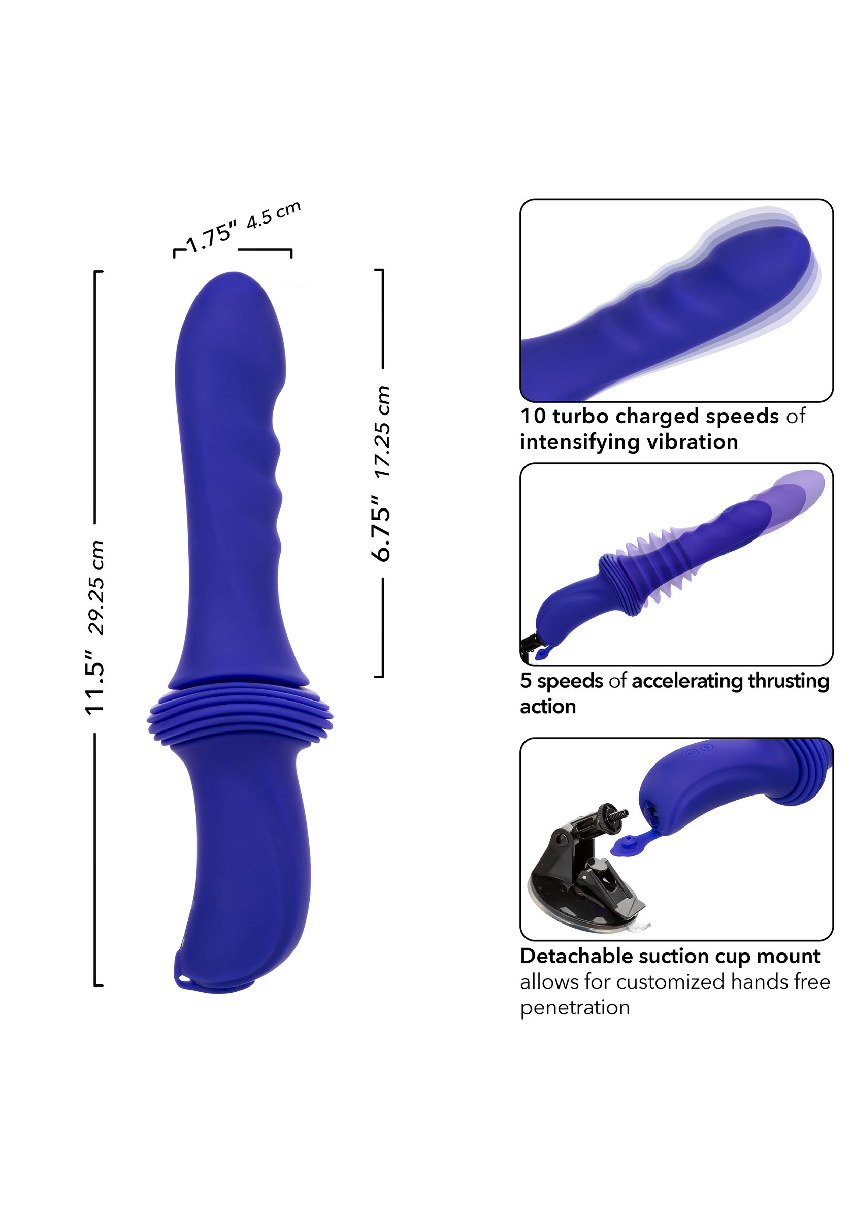 27651_PURPLE_07.jpg