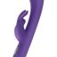 10268_PURPLE_01.jpg