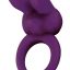 10381_PURPLE_01.jpg