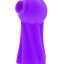 10672_PURPLE_01.jpg
