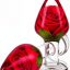 11553_CLEAR_01.jpg