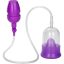 12418_PURPLE_01.jpg