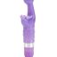 12523_PURPLE_01.jpg