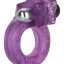 12819_PURPLE_01.jpg