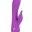 13449_PURPLE_01.jpg