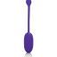 13471_PURPLE_01.jpg