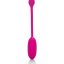 13472_PINK_01.jpg