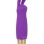 13816_PURPLE_01.jpg