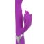 14098_PURPLE_01.jpg