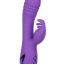 14351_PURPLE_01.jpg