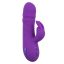 14368_PURPLE_01.jpg