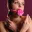 17404_PINK_01.jpg