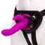29160_PURPLE_01.jpg